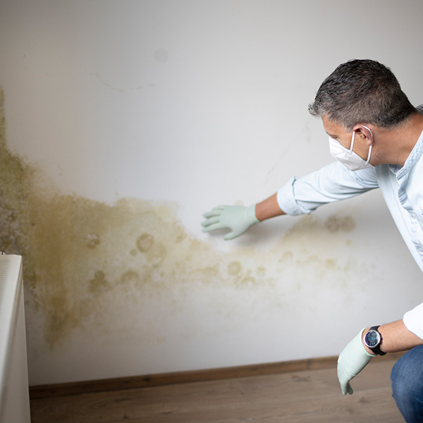 Water Damage Florida crew inspecting moisture after a Florida flood