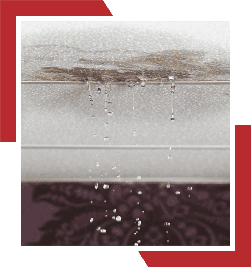 Water Damage Florida restoration technician ready for emergency response