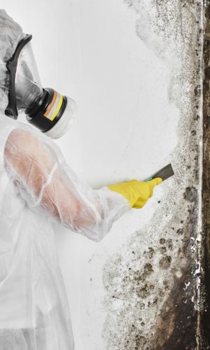 Professional water extraction equipment in a Florida home